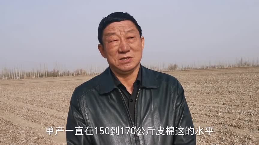 新疆尉犁副县长何淼：带大家实地看看新疆棉花主产地备耕情况