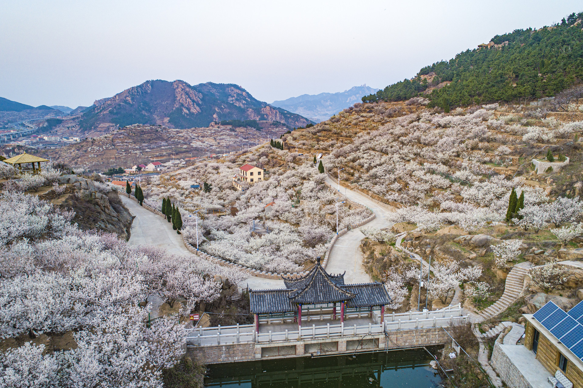 整合全区春季文旅资源 “春色崂山”休闲旅游季开启凤凰网青岛_凤凰网