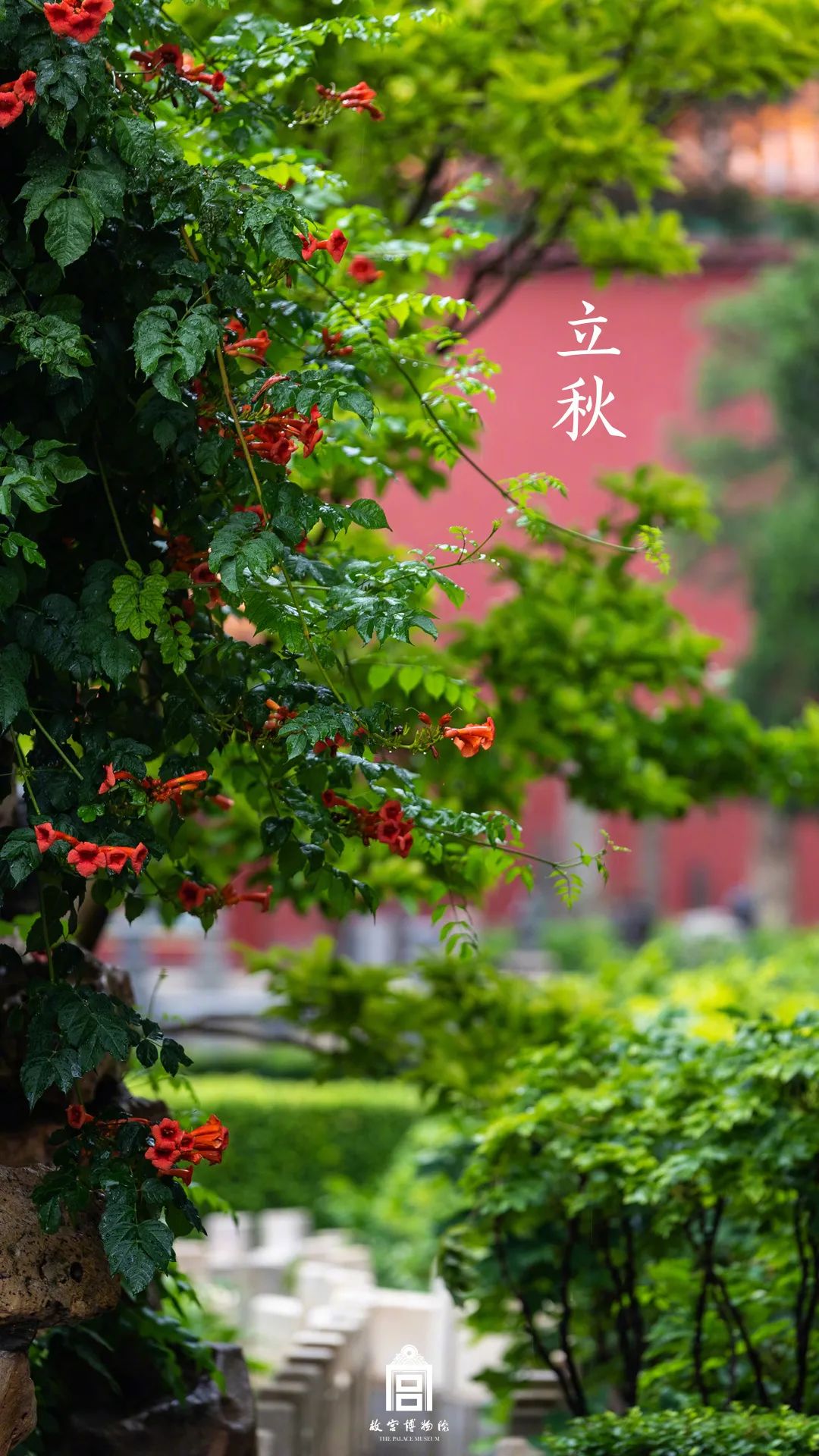 故宫敦煌一年24节气美图