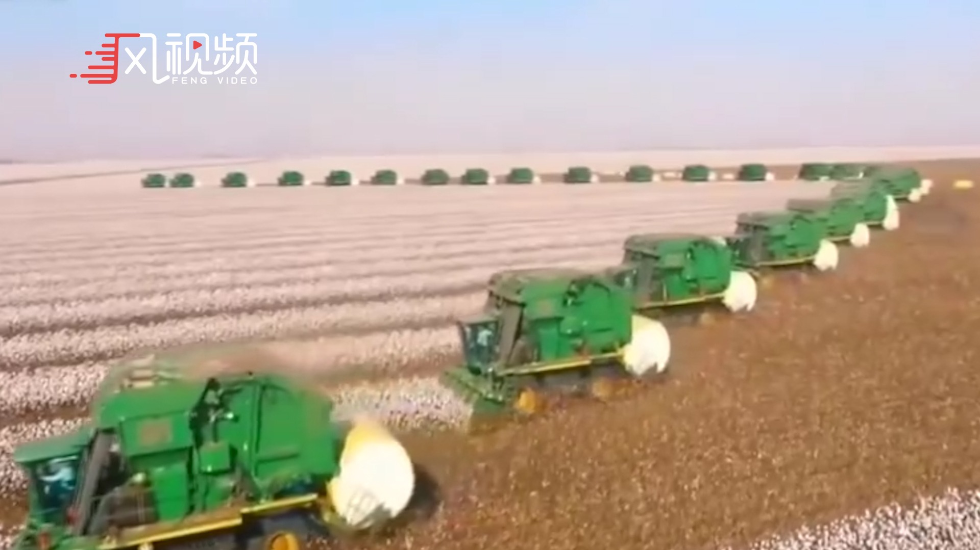 高机械化!高效益!带你看新疆真实采棉场景