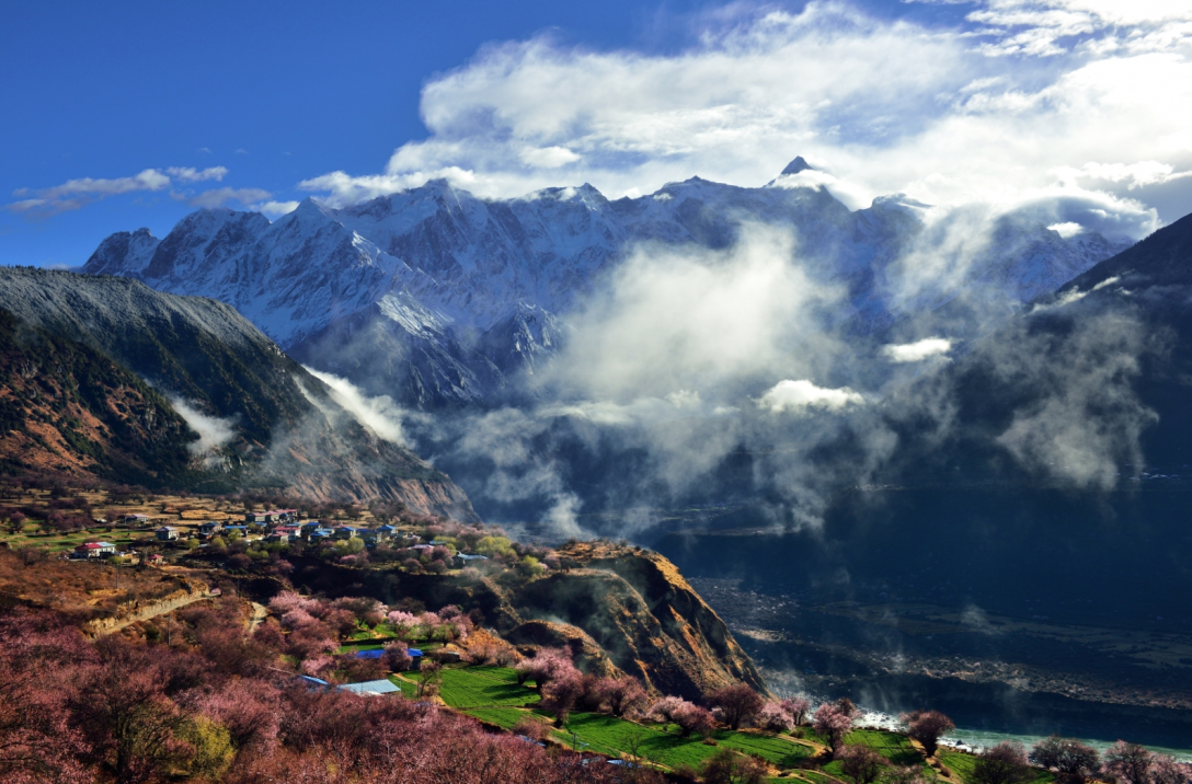 雅鲁藏布大峡谷桃花