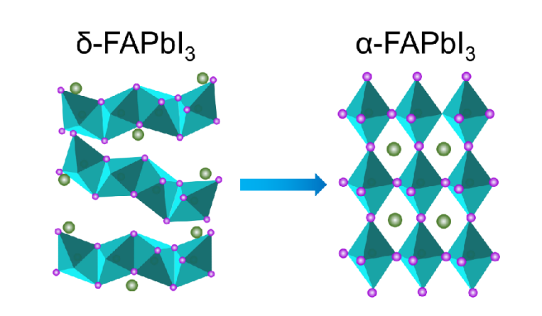 从0到1！西北工业大学黄维院士团队这一创新性研究成果登上《科学》
