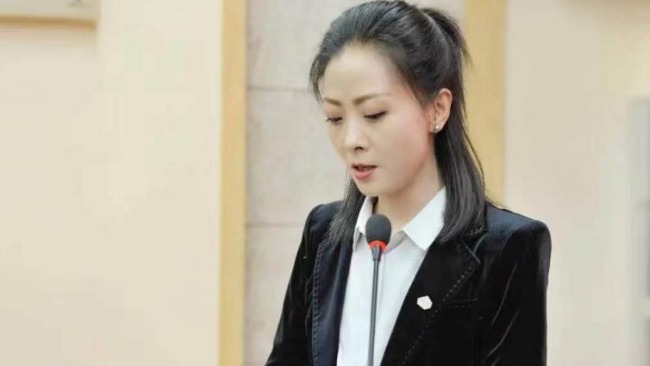 青海美协主席王筱丽承认抄袭并致歉 原作者回应