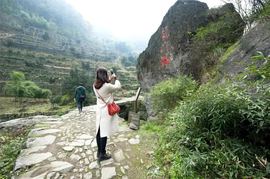 徒步绍兴古道，邂逅“足尖上的春天”