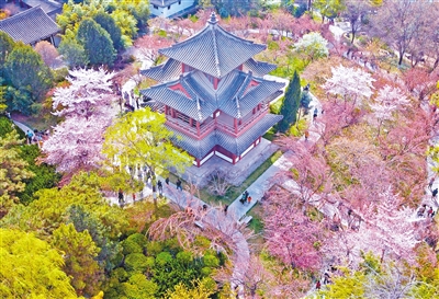 3月21日，无人机视角下的青龙寺。 记者 谢伟 摄