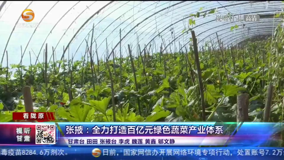 张掖打造百万亩"菜篮子"工程 加足马力拓国际市场