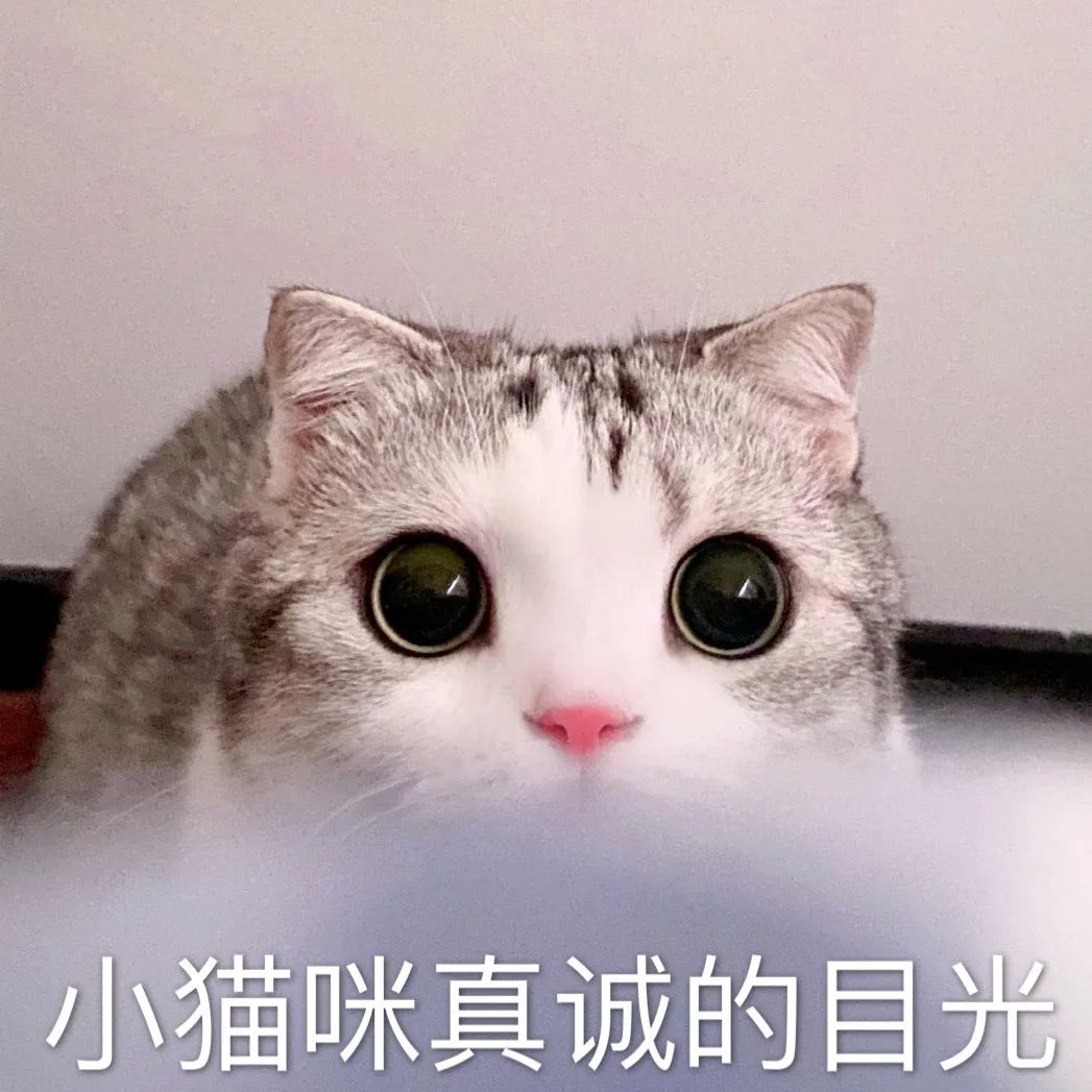 这个毫无存在感的省会城市，好吃到想定居！