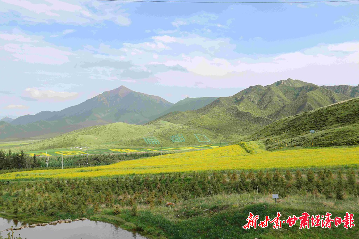 “十四五”开局年，张掖“一园四带”造林绿化266万亩