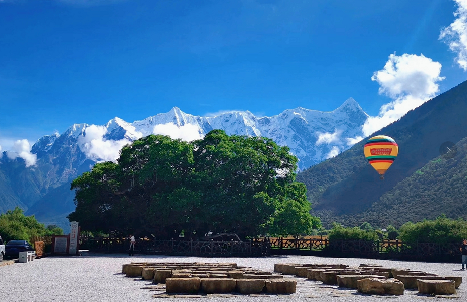 雅鲁藏布大峡谷大桑树爱情广场