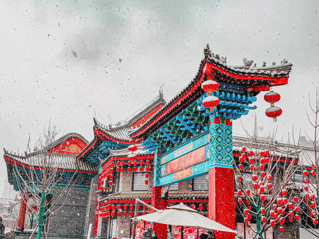 春绿陇原踏青赏花！这11条线路，条条都能拍“大片”