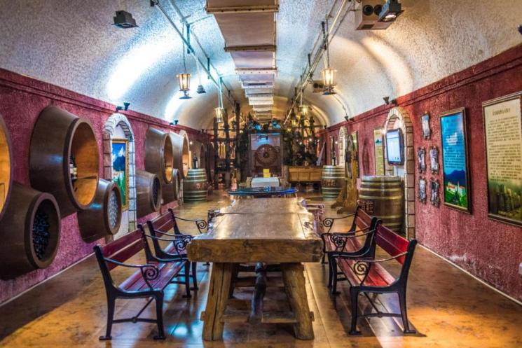 打卡赏花景点,体验文化艺术,走进博物馆,市北区多样活动陪您踏青清明