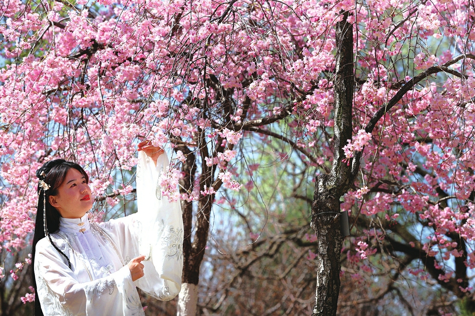 濟南踏青賞花尋春色芳菲醉美植物園