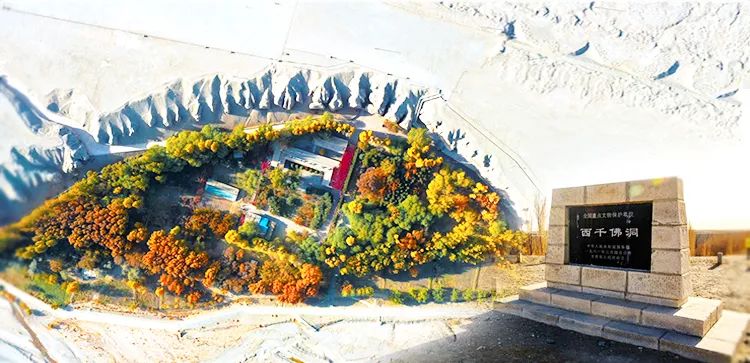 微信图片_20210401115112.jpg