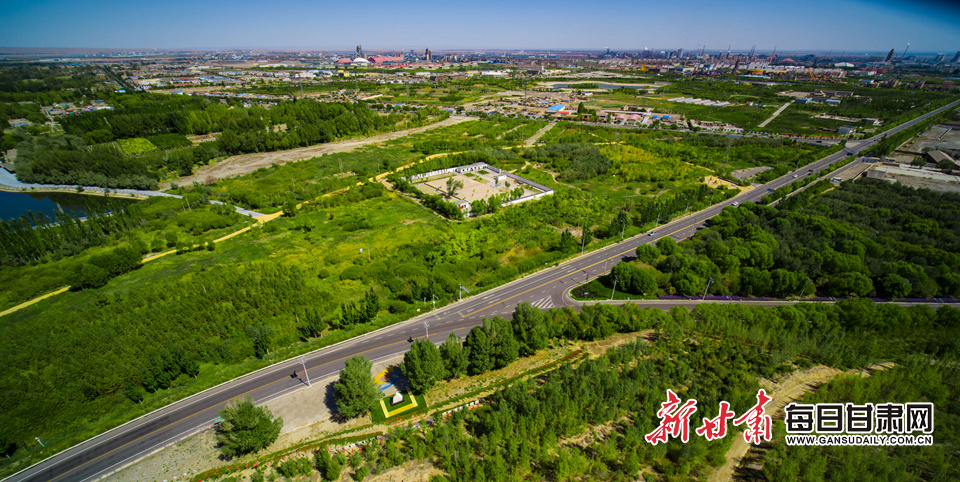八棵树从一抹绿,拓成了嘉峪关的一片绿