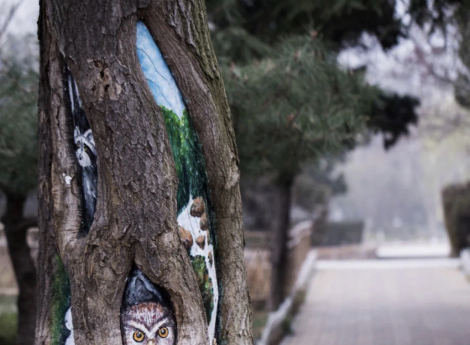 打卡赏花景点,体验文化艺术,走进博物馆,市北区多样活动陪您踏青清明