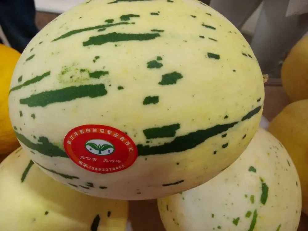 甘肃3地入选中国特色美食百佳县市 看看有你家乡吗？