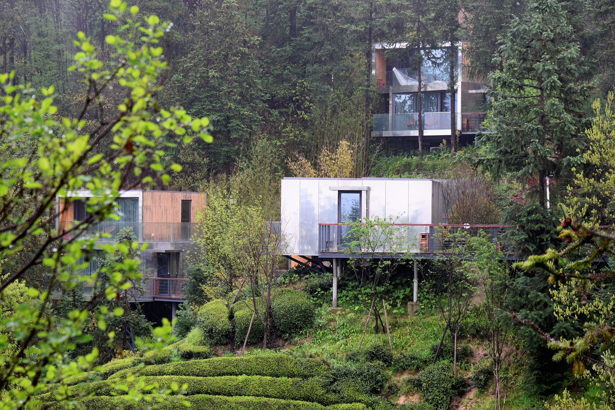 千山云舍木屋度假酒店"藏"于林中