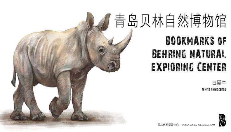 打卡赏花景点,体验文化艺术,走进博物馆,市北区多样活动陪您踏青清明