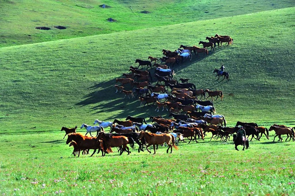 兰新高铁山丹马场站开建 你期待的军马场美景来了！