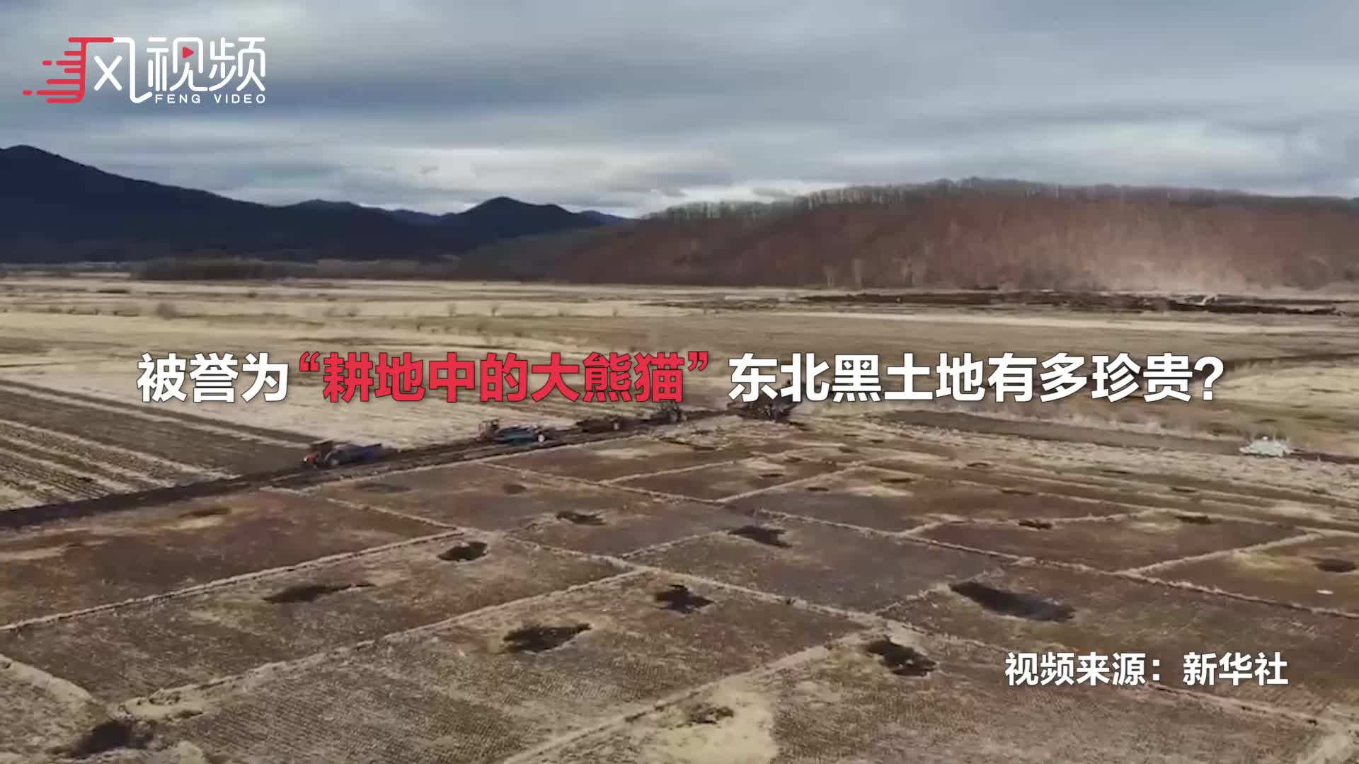 黑龙江9万多平黑土地遭盗挖 专家:约400年才形成1公分 属永久创伤