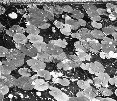 7405819_ds-qianyh_1617026200736_b.jpg