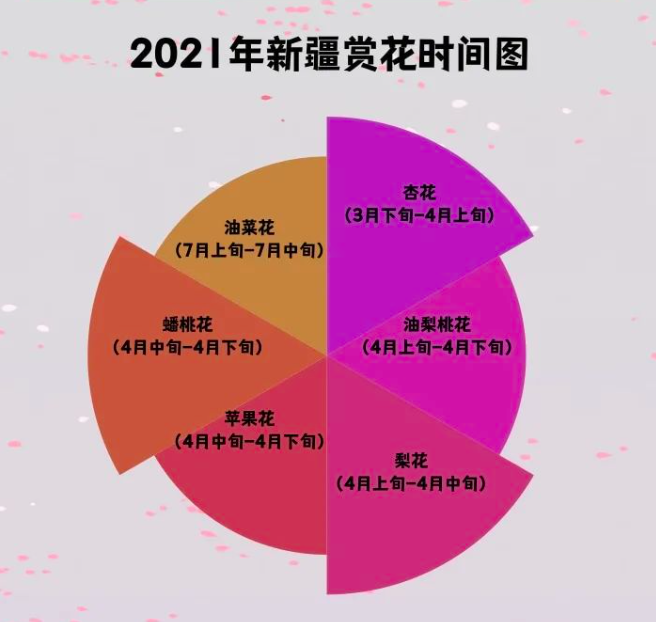 2021年新疆赏花时间图 新疆气象 图