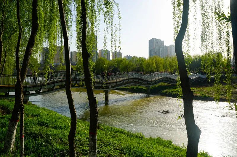 桃花潭公園景色與家人與朋友並肩於河邊或漫步於花下都是不負春天春日