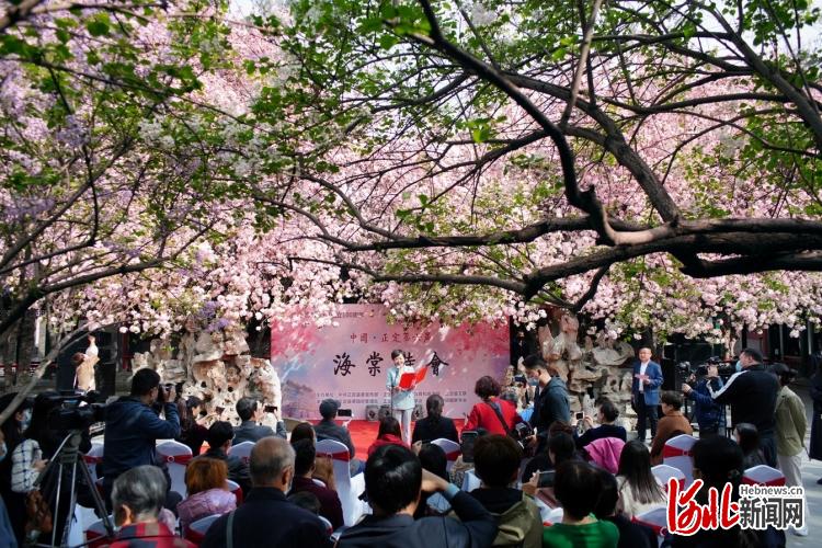 2021年3月30日,河北省石家庄市正定县在荣国府景区举办了第六届海棠诗会,在盛开的海棠花下吟诵诗词,轻歌曼舞,在场游人沉浸在诗情画意中。