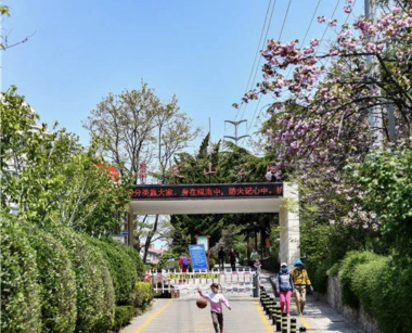 打卡赏花景点,体验文化艺术,走进博物馆,市北区多样活动陪您踏青清明