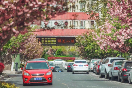 打卡赏花景点,体验文化艺术,走进博物馆,市北区多样活动陪您踏青清明