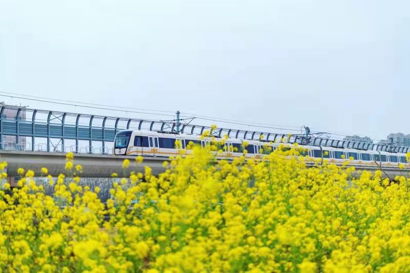 郑州地铁优化运营组织  全力保障清明小长假市民乘客出行