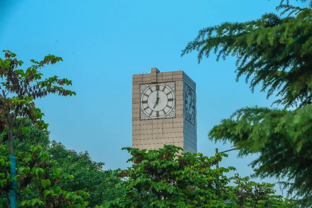 新技术新变革 西北工业大学刘东团队PTR技术突破我国轴承钢“卡脖子”难题