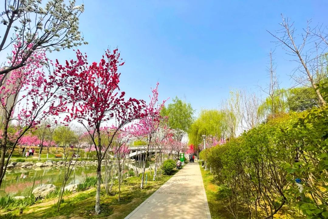 桃花潭公園景色