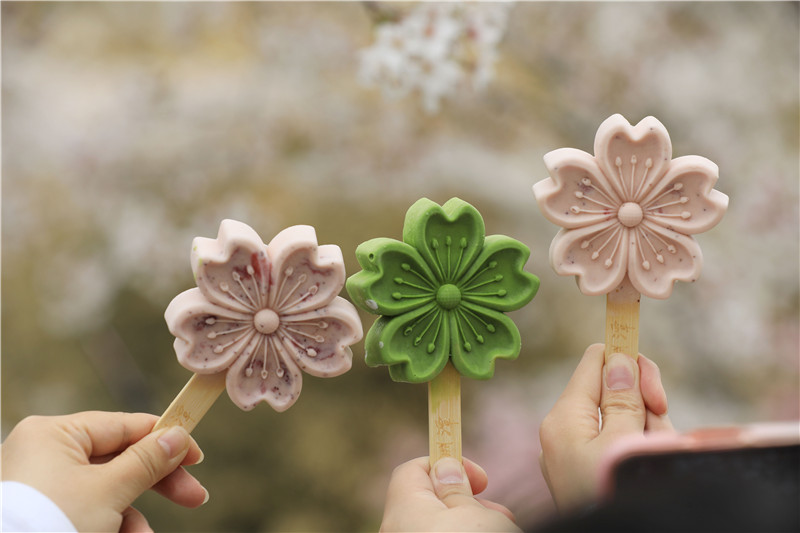 2021年4月1日,游客在北京玉渊潭公园拍摄樱花雪糕.