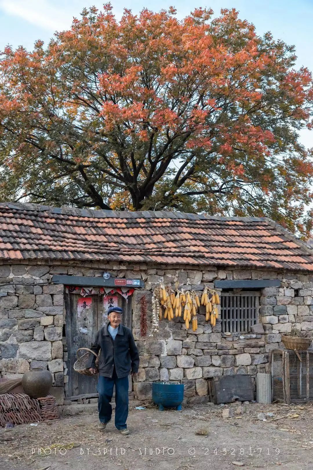 五莲县街头镇房家沟村(王伟时/摄)