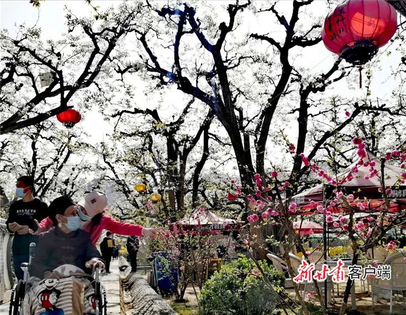 春绿陇原踏青赏花！这11条线路，条条都能拍“大片”