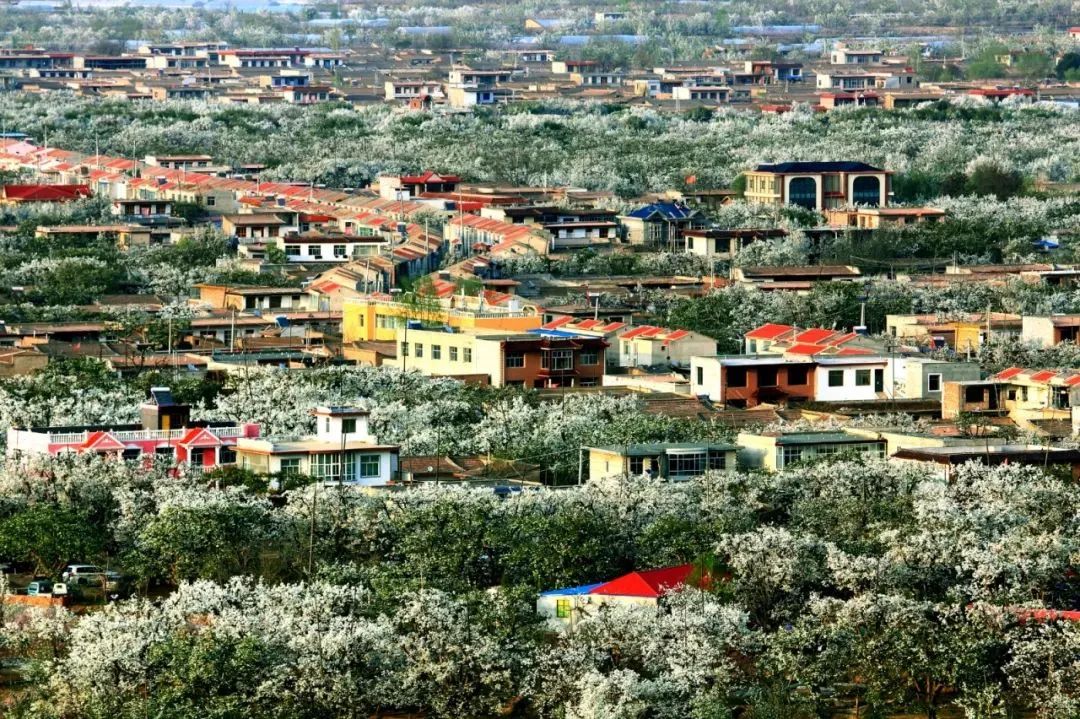 甘肃3地入选中国特色美食百佳县市 看看有你家乡吗？