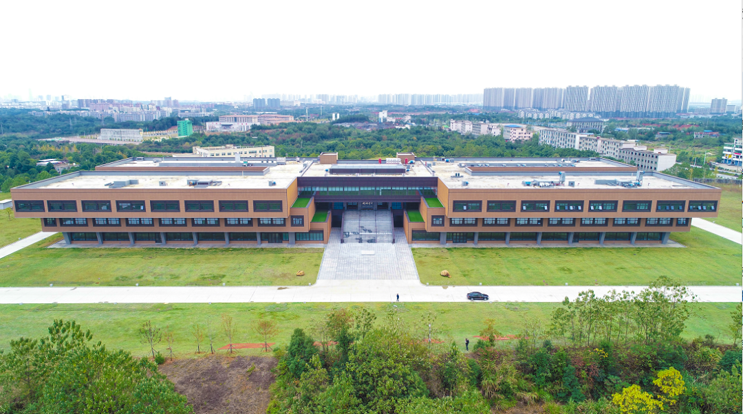 转作风优环境湾里管理局让优化营商环境政策落地生根