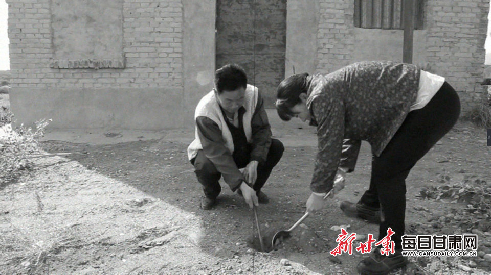 老一辈筑路人用炉棍和铁勺挖开沙土种树(资料图)