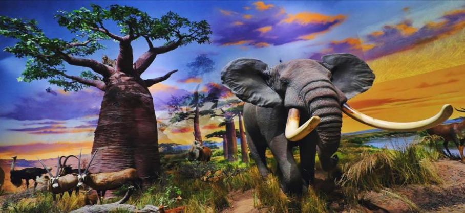 打卡赏花景点,体验文化艺术,走进博物馆,市北区多样活动陪您踏青清明