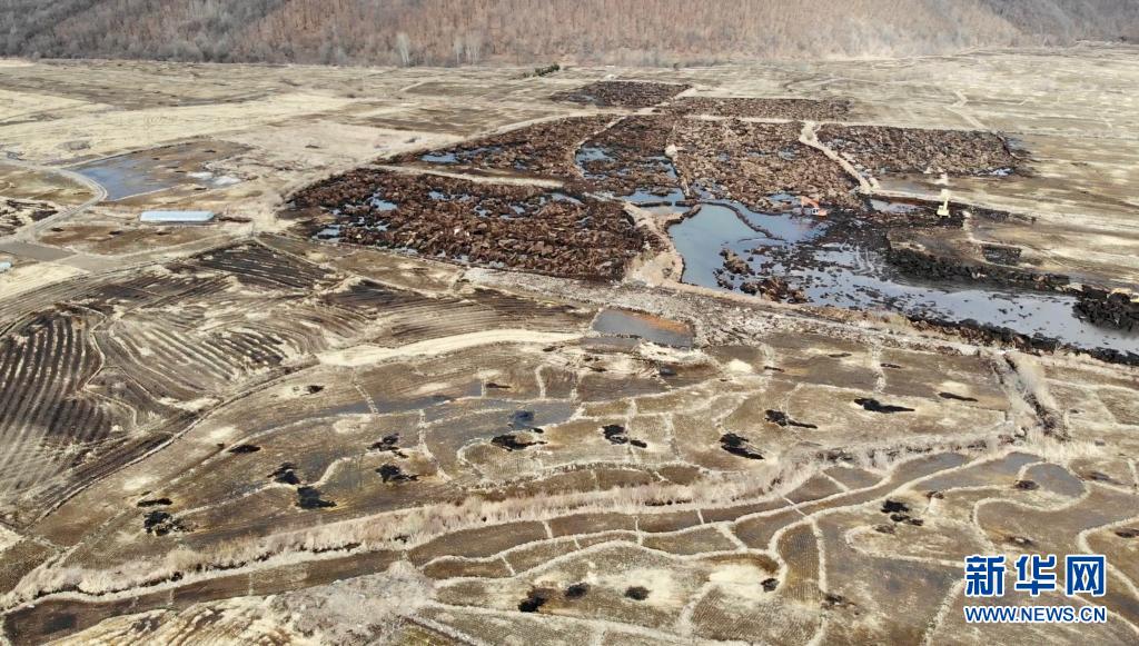 3月30日，在黑龙江省五常市沙河子镇福太村，采挖现场暴露着深度为半米至1米不等的多个大坑，如同大地的“疮疤”（无人机照片）。新华社记者 马知遥 摄