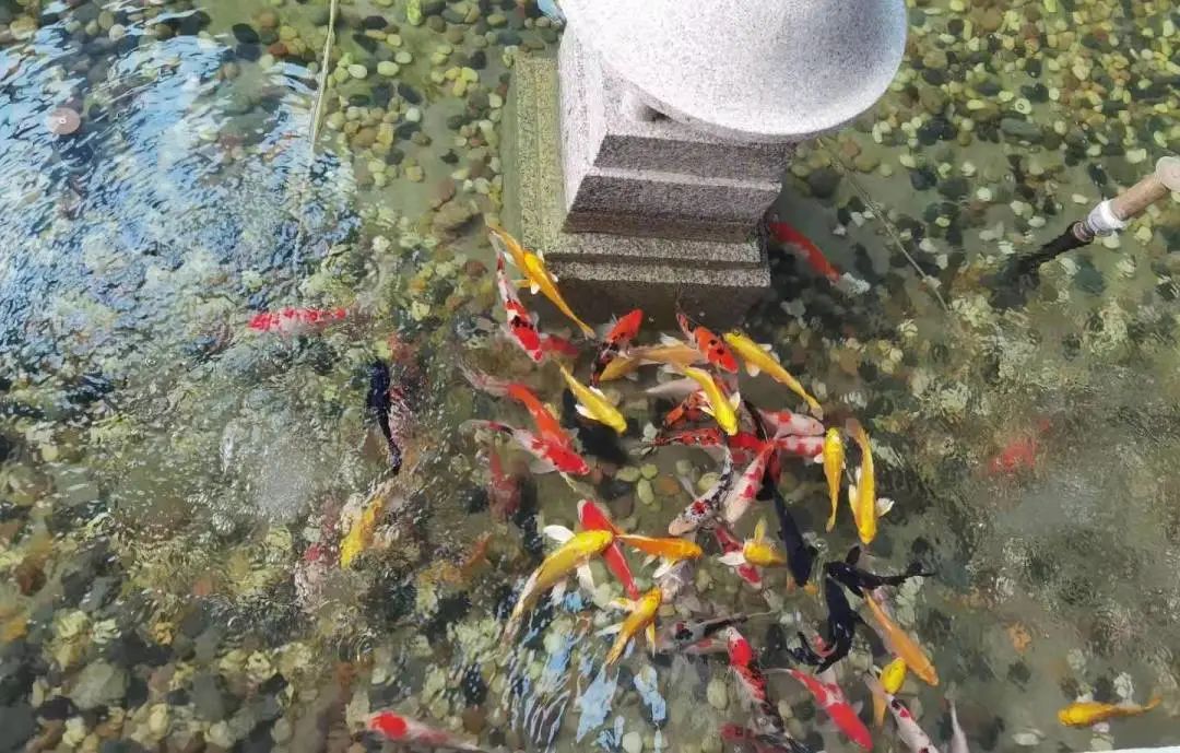 纯干货，武威温泉度假村最全游玩指南！