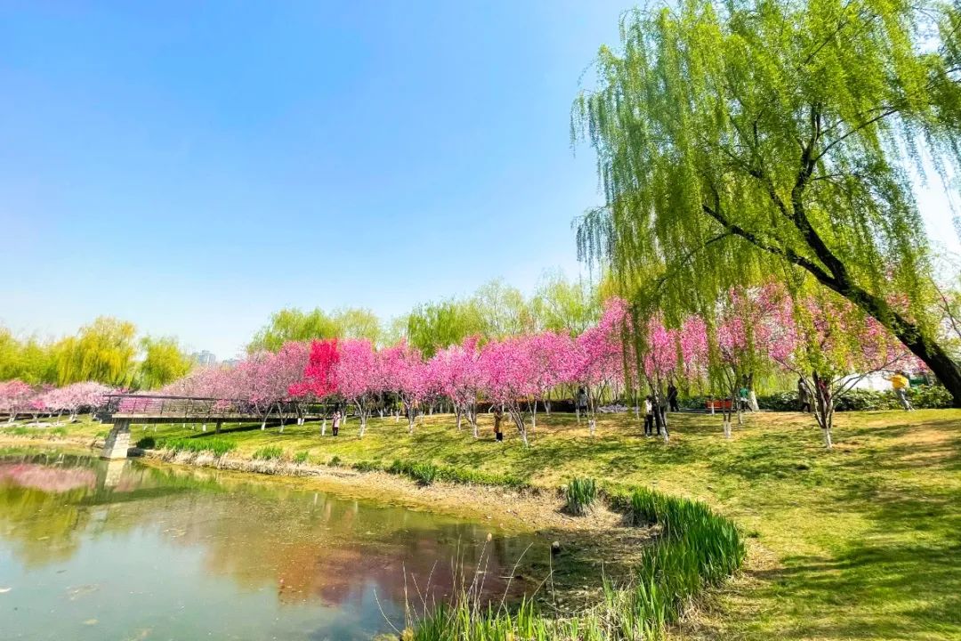 桃花潭公园景色