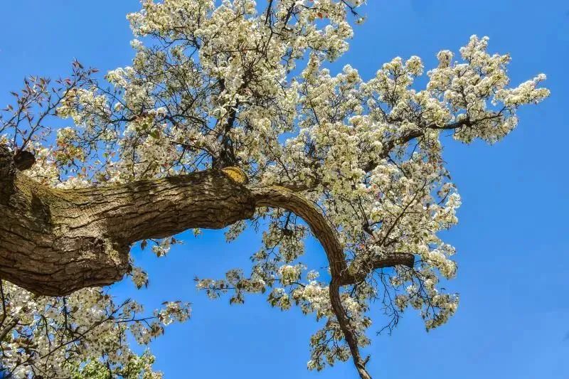 甘肃3地入选中国特色美食百佳县市 看看有你家乡吗？