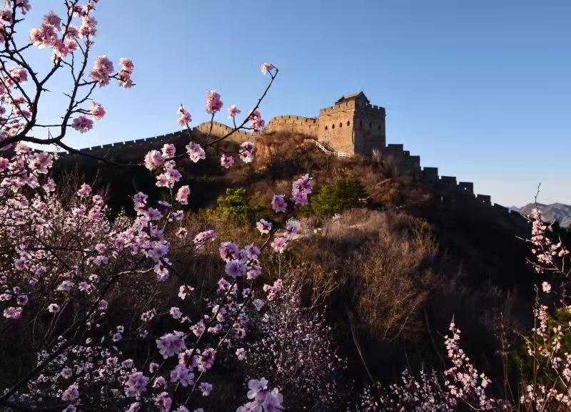 活动现场 王占平摄