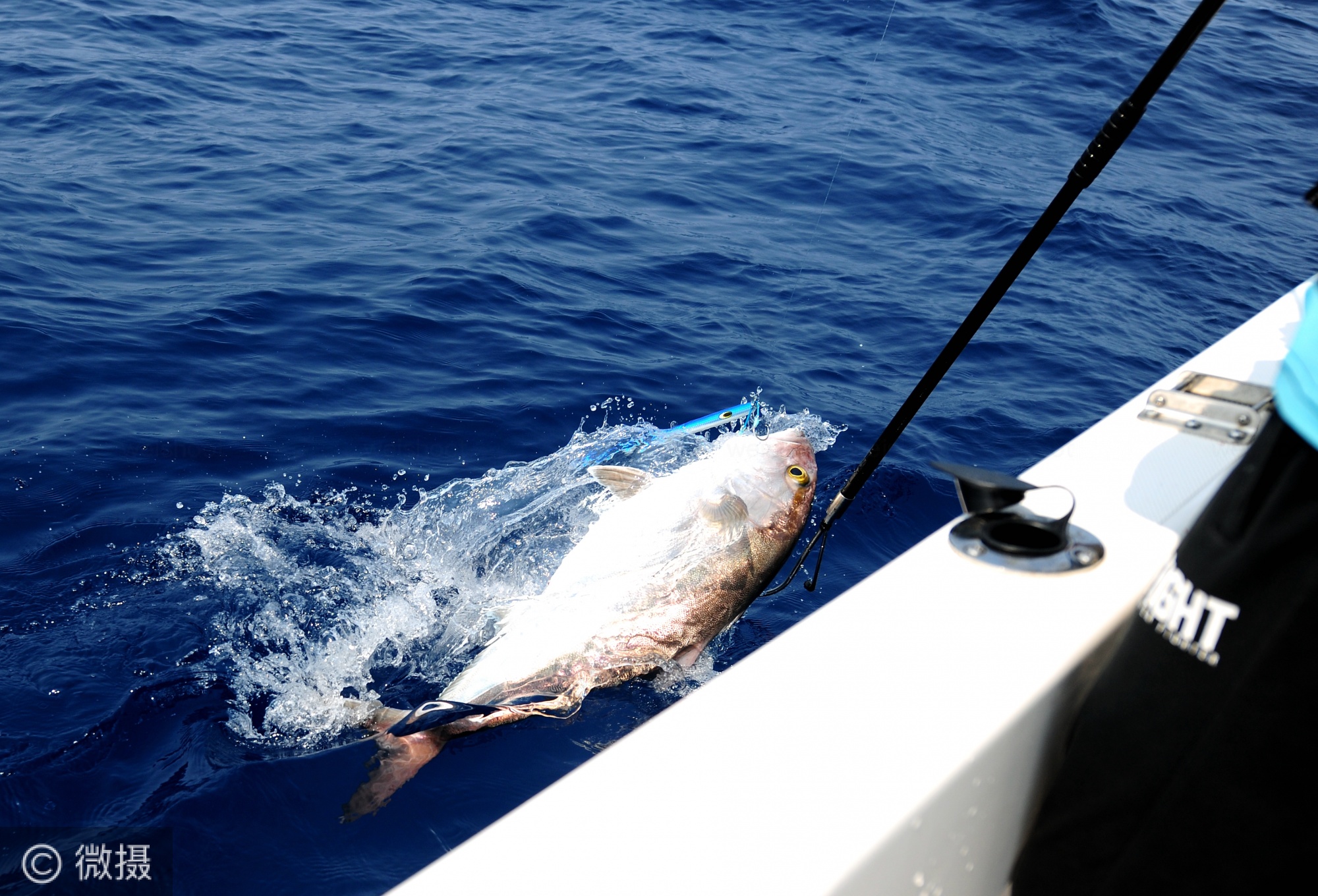 中国海钓大赛环海南岛海钓大奖赛万宁站成功收竿晴水遨游战队夺冠获五