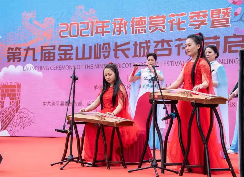 活动现场 王占平摄