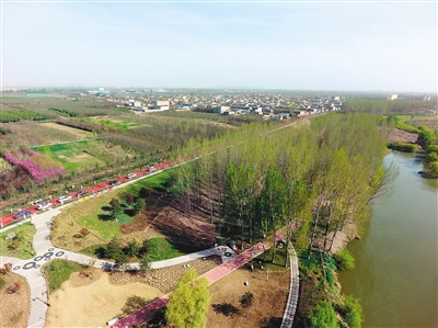 “风雅杨林”生态宜人