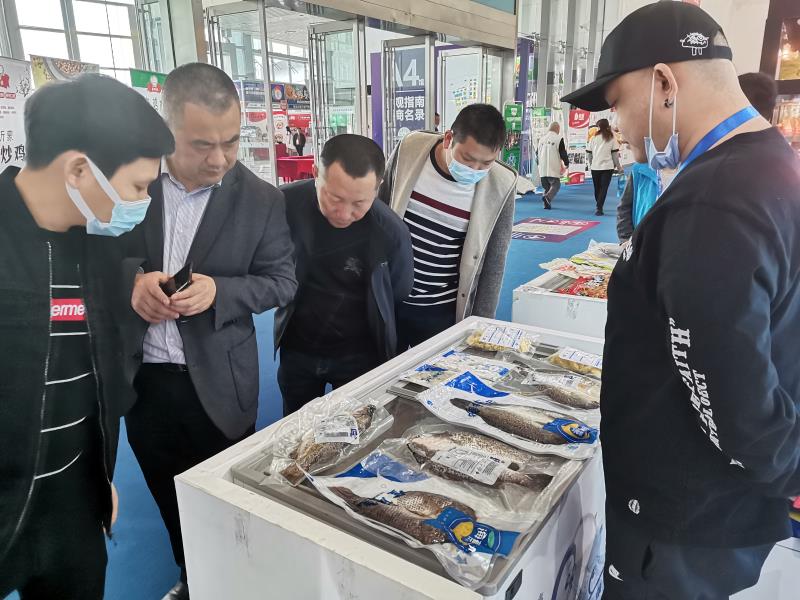 珠海斗门“白蕉海鲈”品牌亮相中国食材电商节 收获2.6亿元意向订单