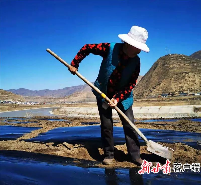 千里陇原是什么颜色?
